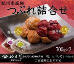 ご家庭用 大容量 紀州南高梅 つぶれ梅 うす塩としそ漬の詰合せ ［YM17m］ A-242