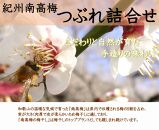 ご家庭用 大容量 紀州南高梅 つぶれ梅 うす塩としそ漬の詰合せ ［YM17m］ A-242