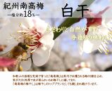 紀州南高梅 白干 500g×2 塩分 約18% A-243