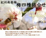 厳選 紀州南高梅 四種詰合せ 各200g×1 合計4箱 A-316
