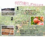 厳選 紀州南高梅 四種詰合せ 各200g×1 合計4箱 A-316