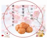 厳選 紀州南高梅 四種詰合せ 各200g×1 合計4箱 A-316