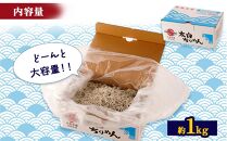 獲れたてピチピチ！茹でたてプリプリ！ 大正の無添加釜揚げしらす1キロ