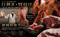 静岡特撰牛サーロインスライスセット（すき焼き・しゃぶしゃぶ用）500g