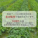 生芋(紅はるか) 5kg（サイズS～L混合）