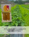 干し芋美人 80g入×6袋
