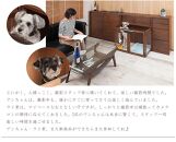 【ブラウン】折りたたみ式ペットケージ&nbsp;幅90&nbsp;『すむぺっと』