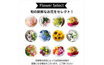 【定期便 12か月】季節のお花 定期便（12か月）【季節　お花 一年間　毎月季節　切り花　ご自宅、職場　明るく華やか　お花パワー　季節のご挨拶に　お手入れ説明書　延命剤付　 大阪府 門真市 】