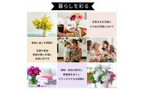 【定期便 12か月】季節のお花 定期便（12か月）【季節　お花 一年間　毎月季節　切り花　ご自宅、職場　明るく華やか　お花パワー　季節のご挨拶に　お手入れ説明書　延命剤付　 大阪府 門真市 】