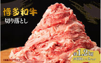 博多和牛切り落とし　約1.2kg（約600g×2）
