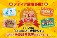 「&nbsp;大籠包」含む点心2種セット(4箱&nbsp;計8個入り)【横浜中華街&nbsp;開華楼】[C]