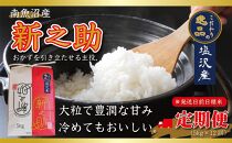 【令和7年産先行予約】【定期便12ヵ月】南魚沼産新之助5kg一等米（5kg×12回）【塩沢地区】【2025年10月中旬より順次発送予定】
