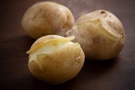 【先行予約】2025年10月より発送　新じゃが　男爵いも　10kg　北海道産のじゃがいも 【 じゃがいも いも イモ 芋 野菜 産地直送 旬 お取り寄せ 旭川市 北海道 】_04858