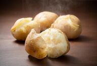 【先行予約】2025年10月より発送　新じゃが　男爵いも　10kg　北海道産のじゃがいも 【 じゃがいも いも イモ 芋 野菜 産地直送 旬 お取り寄せ 旭川市 北海道 】_04858