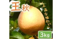 王秋梨 3kg【やぶやフルーツガーデン】