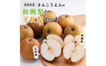 新興梨・王秋梨詰め合わせ 5kg箱 (玉数は合わせて約6～12玉)