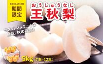 王秋梨 5kg【やぶやフルーツガーデン】