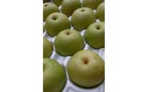二十世紀梨 5kg【たにがみ農園】