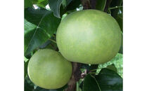 なつひめ&nbsp;3キロ【安田農園】