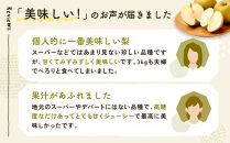 新甘泉梨&nbsp;3kg箱(約6～10玉)
