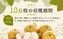 新甘泉梨&nbsp;3kg箱(約6～10玉)