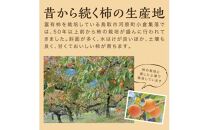 富有柿 5kg箱 (L～2Lサイズ)