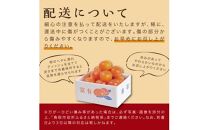 富有柿 5kg箱 (L～2Lサイズ)