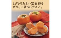 富有柿 5kg箱 (L～2Lサイズ)