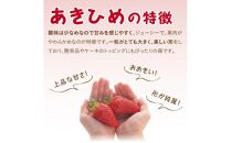 あきひめDX 500g 鳥取いちご【とみハウス】