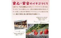 あきひめDX 500g 鳥取いちご【とみハウス】
