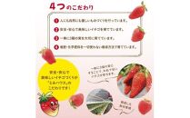 あきひめDX 500g 鳥取いちご【とみハウス】