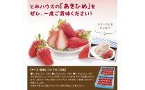 あきひめDX 500g 鳥取いちご【とみハウス】
