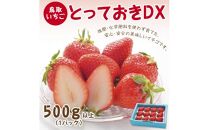 とっておきDX 500g 鳥取いちご【とみハウス】