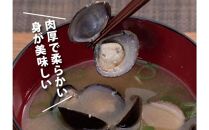 湖山池の大しじみ