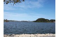 湖山池の大しじみ