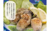 鳥取賀露港 天然岩がきセット【かねまさ・浜下商店】