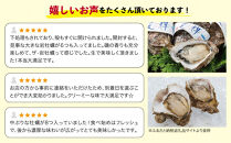 鳥取賀露港&nbsp;天然岩がき「夏輝」セット【かねまさ・浜下商店】