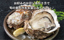 鳥取賀露港&nbsp;天然岩がき「夏輝」セット【かねまさ・浜下商店】