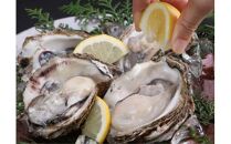 鳥取賀露港 天然白いか・天然岩がきセット【かねまさ・浜下商店】