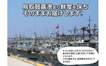 鳥取賀露港 天然白いか・天然岩がきセット【かねまさ・浜下商店】