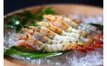 鳥取県産&nbsp;冷凍もさえび【中村商店】