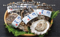 鳥取県産&nbsp;岩がき「夏輝」【中村商店】