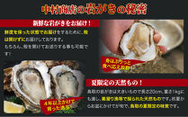 鳥取県産&nbsp;岩がき「夏輝」【中村商店】