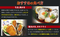 鳥取県産&nbsp;岩がき「夏輝」【中村商店】