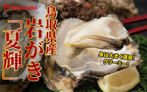 鳥取県産&nbsp;岩がき「夏輝」【中村商店】