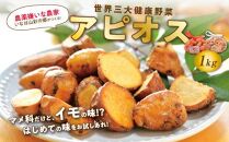 世界三大健康野菜 アピオス 1キロ