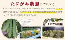 たにがみ農園のなた豆茶 6袋セット