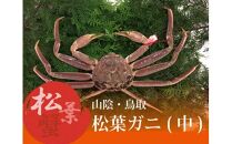 特選とっとり松葉ガニ (中)【山根商店】