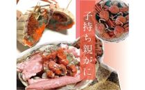 特選とっとりセコガ二 (親ガニ)10枚セット【山根商店】