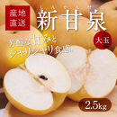 大玉新甘泉&nbsp;2.5kg箱(5～7玉入)【たにがみ農園】